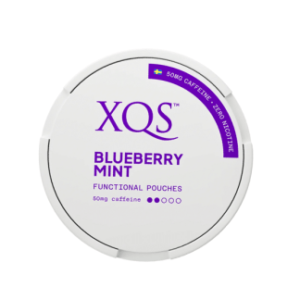 XQS Blueberry Mint Nikotinfritt Snus