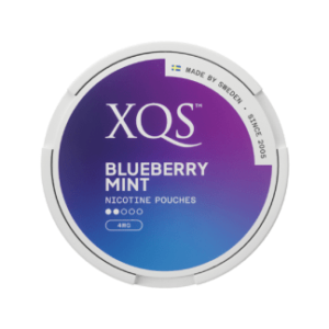 XQS Blueberry Mint