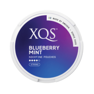 XQS Blueberry Mint Strong