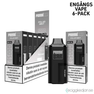Frunk 5000 Mesh | Polar Mint | Engångs Vape | 14mg | 6pack